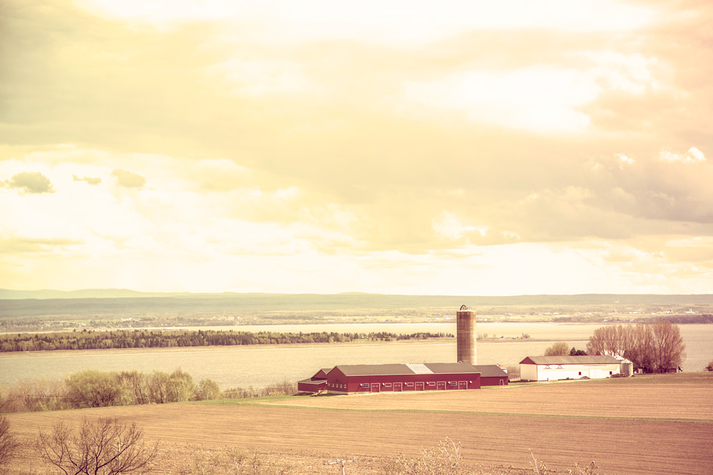 Jour #61 -  la ferme