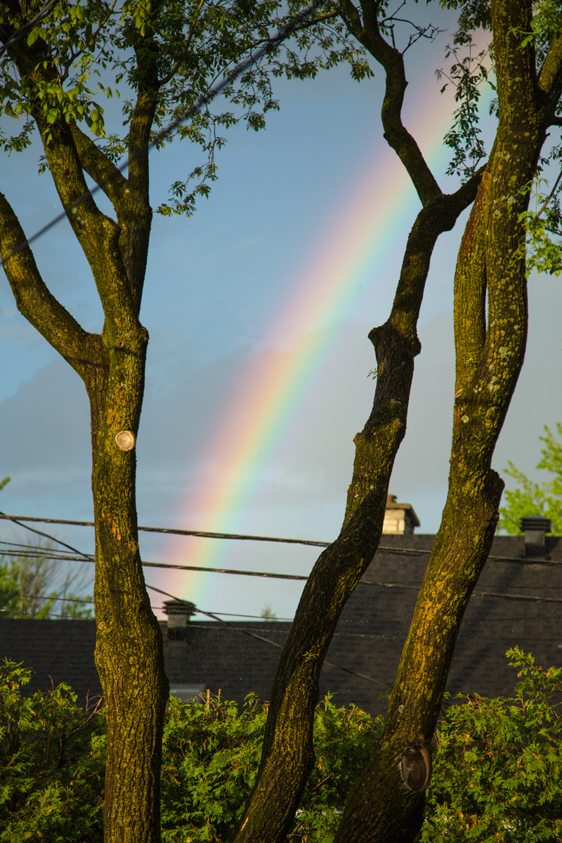 Jour #75 - Arc-en-ciel