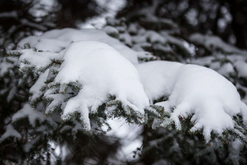 Jour #281 - Feux de bengale - Keven Ouellet Photographie