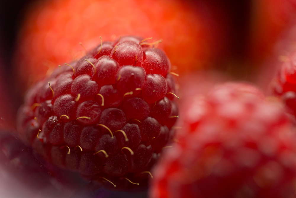 Jour #284 - Poils de framboises