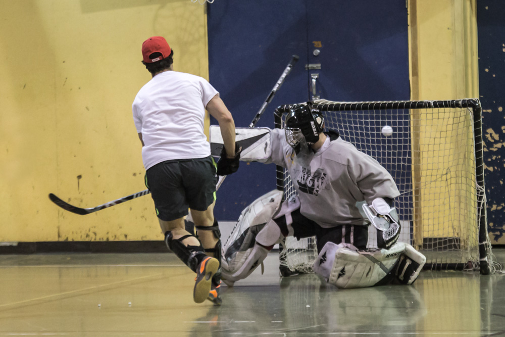 Jour #317 - Dek hockey